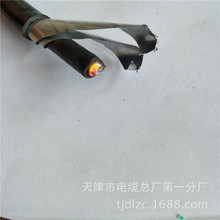 KVVP屏蔽控制電纜KVVP22地埋可防鼠蟻 價格優惠