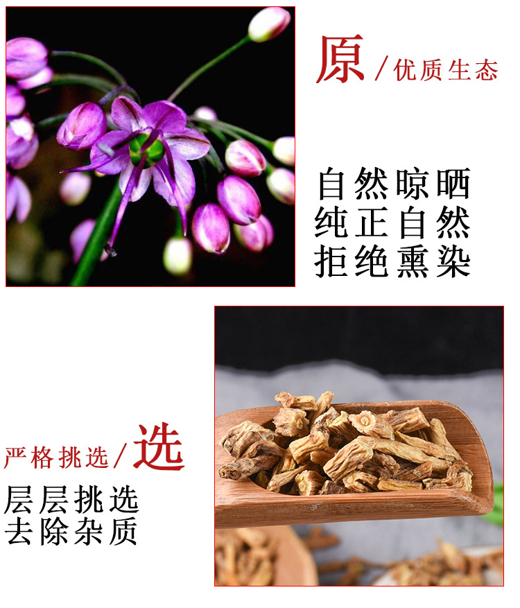 Qin Jiao Root (Gentiana macrophylla) — Dried Large-Leaf Gentian Root, Unsulfured Bulk Herb quality and texture
