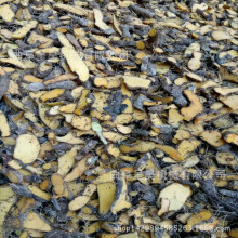 ;VϿƬC hSƬñ Чʸ