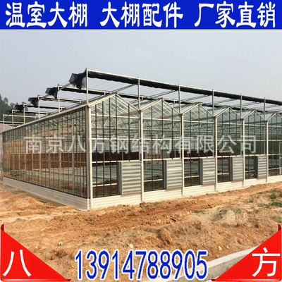 厂家直销 文洛式8米跨度热镀锌玻璃温室|ms