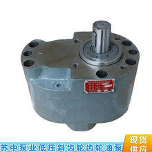 苏中液压XCB-B40  50 XCB-B63低噪音斜齿轮泵 稀油润滑泵 输油泵