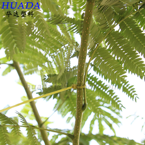 Huada Factory Wholesale Garden Art Nylon Straps 3*100 Green Grass Binding Straps Grape Trellis Vine Bands