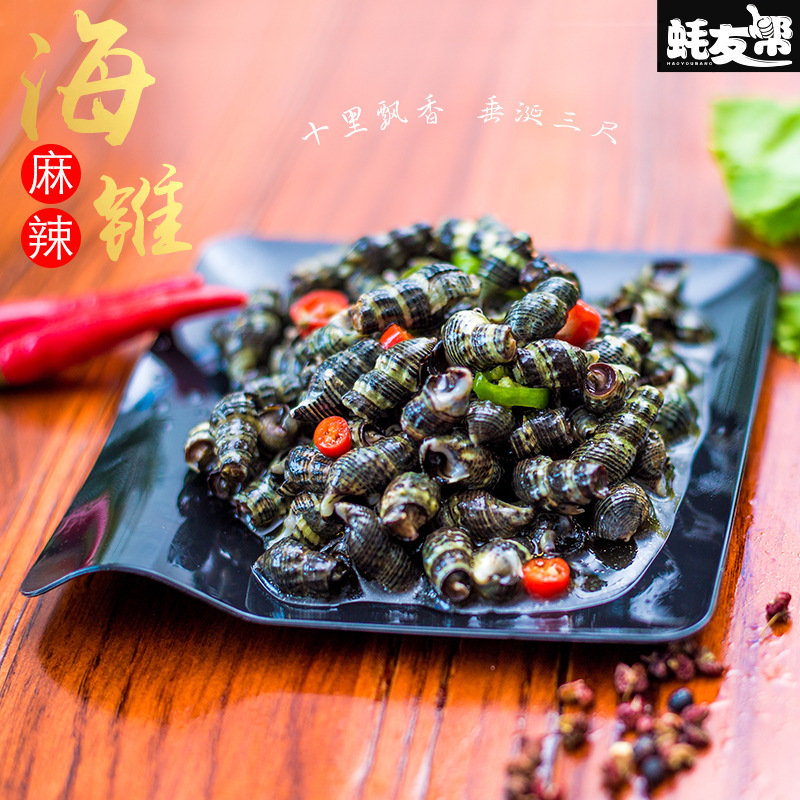 厂家直销即食麻辣海锥  罐装桶装爽口腌制小海鲜 批发 9盒半价！