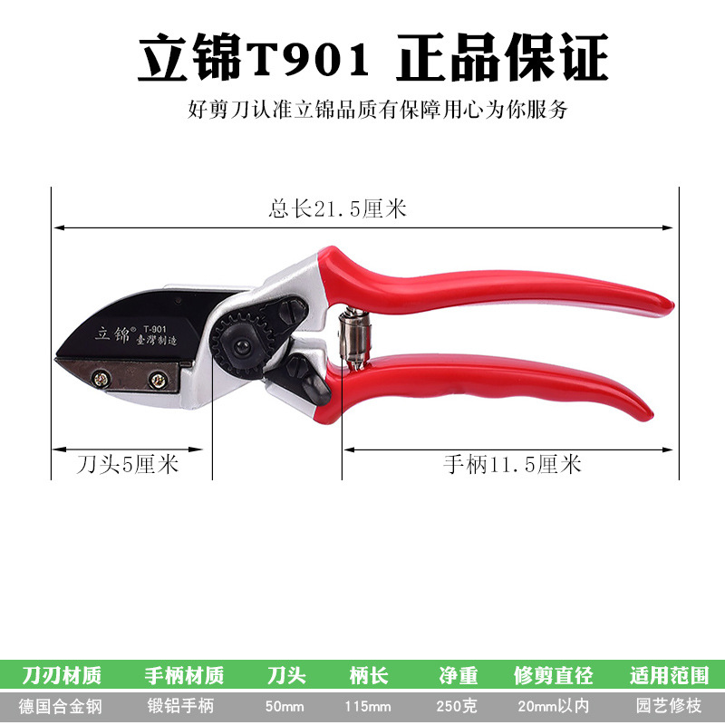 Lijin Taiwán serie de tijeras de ramas de jardín, tijeras de poda de plántulas de frutas, tijeras de jardinería de ahorro de mano de obra, tijeras de flores T902