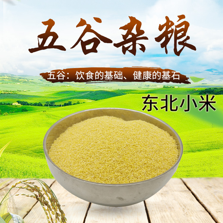 bulk Whole grains Small yellow rice Farm Production The month m Porridge edible Millet gruel Coarse Cereals foodstuff wholesale