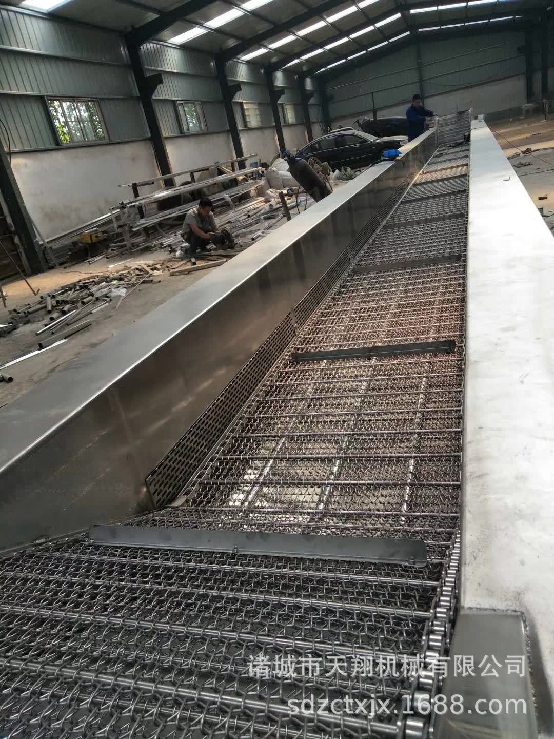 天翔蓝莓 荔枝清洗机叶类气泡清洗机 制造 客户认可