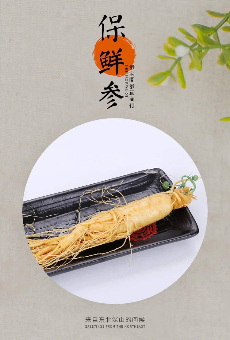 Changbai Mountain Fresh Ginseng (Panax ginseng) — Whole Roots for Wine & Soup quality and texture