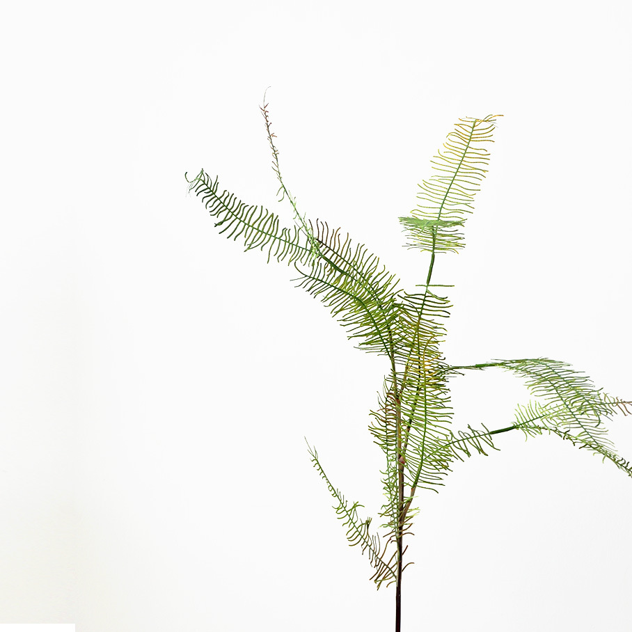 批发仿真绿植 蜈蚣草 假叶子办公装饰植物|ms