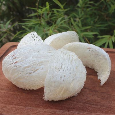 印尼燕窝VIP大疏盏批发正宗无底无刷大梳盏白燕礼盒装|ms