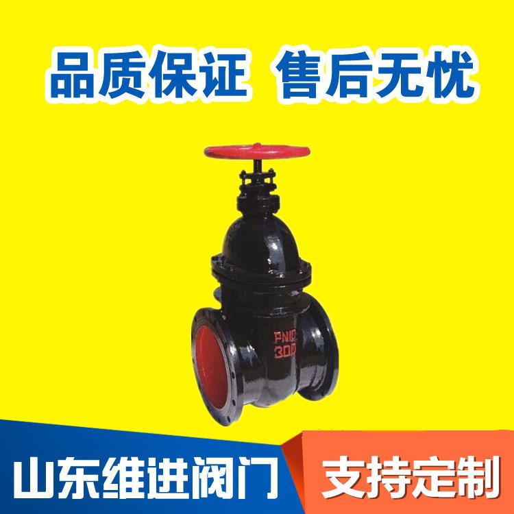 潍坊批发 Z41T-16铸铁法兰闸阀 明杆法兰闸阀 水用闸阀 排污闸阀