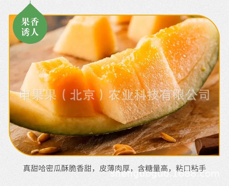 新疆若羌沙漠蜜瓜 产地直供；哈密瓜：10斤/箱 全国一件代发
