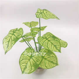 仿真植物绿植室内背景墙插花配草墙面装饰假花绿叶马蹄莲 芋叶