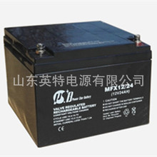 ��ʿ������MFX-12/24 PSB��ʿ����ά������12V24AH