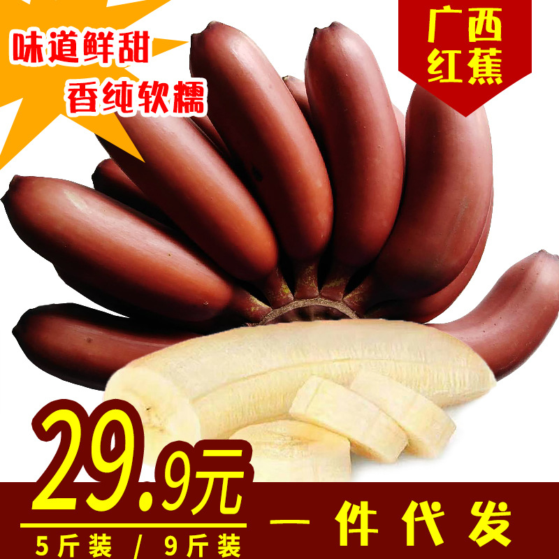 广西红香蕉5斤红皮香蕉美人蕉香糯可口一件代发包邮