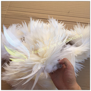 6-8Ӣ�� �� Ư�׼�ë �S�ҬF؛ 390/��  �Ʒ�b� �o�� �uë