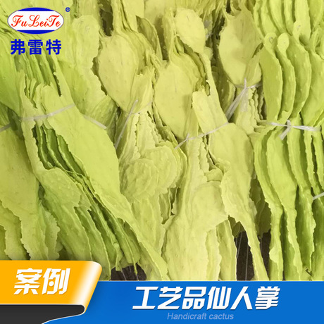 弗雷特厂家提供 软泡 聚氨酯高压发泡机 小型成套软泡工艺品pu发泡