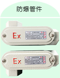 厂家直销 防爆动力配电箱 防爆配电箱 防爆动力柜