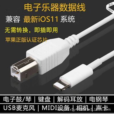 Apple iPhone/iPad apply Electric piano intelligence OTG Connecting line mobile phone Musical Instruments MIDI Data conversion line