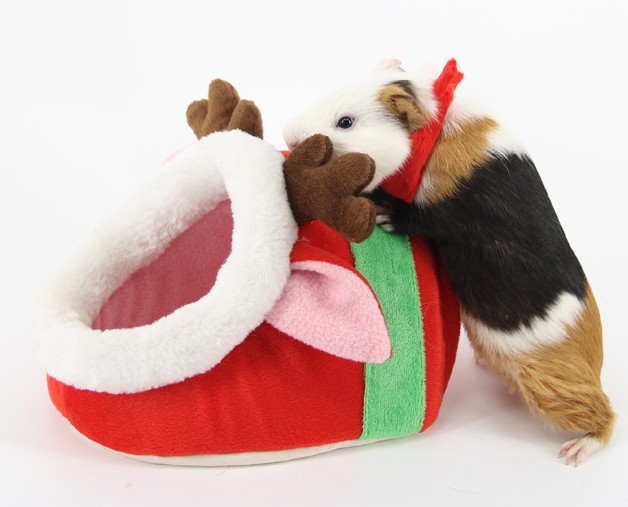 小宠吊窝天竺鼠水果夹棉小宠窝仓鼠窝宠物用品小宠用品宠物窝猫窝|ms