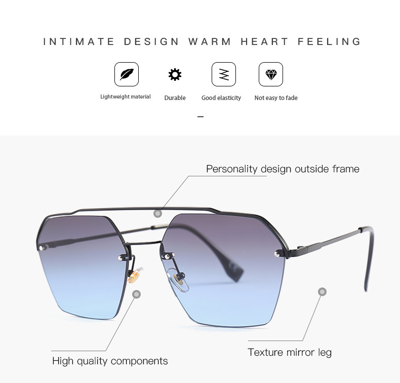 Sunglasses C1