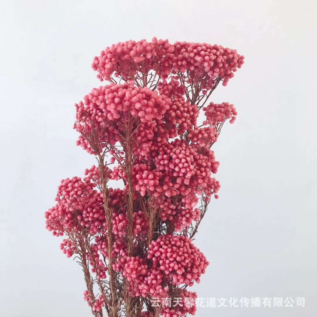 米花永生花 diy手工自制北欧风小棕瓶插花材料会所软装配材小