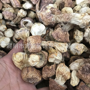 Юньнан истинный цвет джимеи грибы сухой сухой 1 кг бразильский гриб искусственный мацтик
