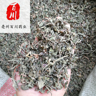 �ٴ�ș�I ��ɏ�� ī��ɏ �^�Y ���| 15��o�l���˓Q