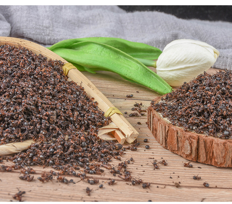 Red Ant (Polyrhachis / Formica) Dried Whole Ants — Traditional Chinese Herbal Ingredient, 500g quality and texture