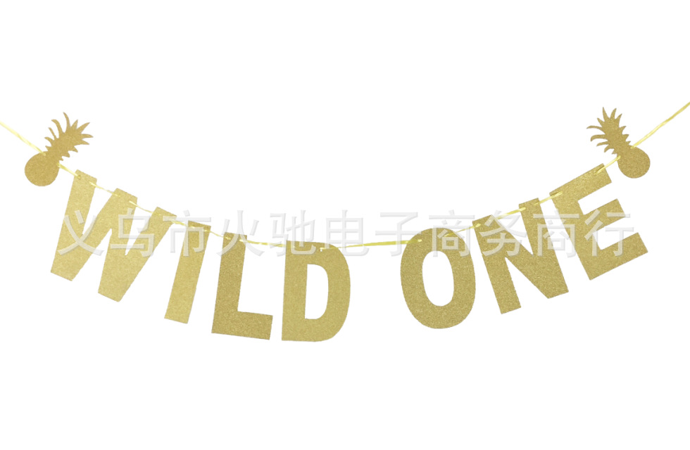 WILD ONE+菠萝.png
