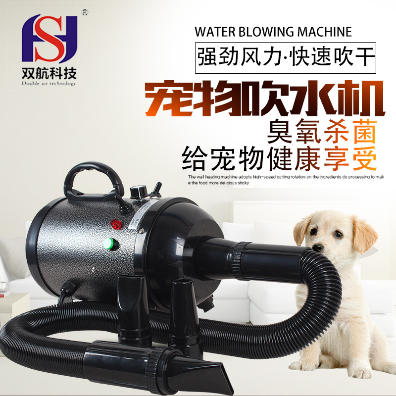 애완 동물 특수 고출력 헤어 드라이어 지속적으로 가변 속도 애완 동물 부는 기계 오존 음이온 기능 애완 동물 가게