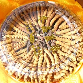 其他药食同源;藏红花;其他滋补