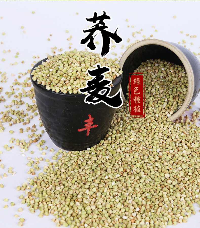 Roasted Buckwheat Kernels Qiao Mai 荞麦 Low Temperature Baked Whole Grain for Milling Porridge and Tea Blends Bulk 25kg Bag quality and texture