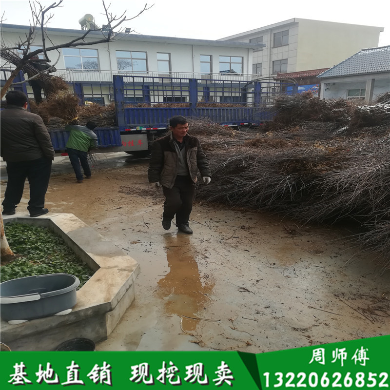 IMG_20180108_102228_副本