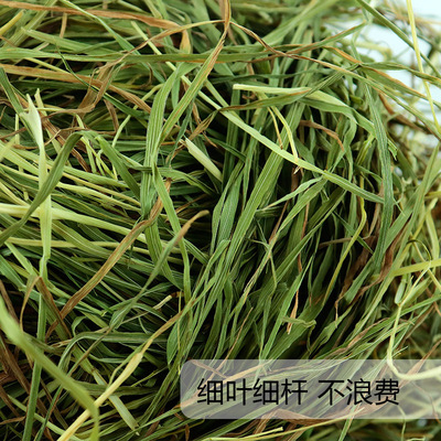 有黃葉全葉南提 提摩西1KG烘幹提摩西草兔子飼料幹草10KG起批