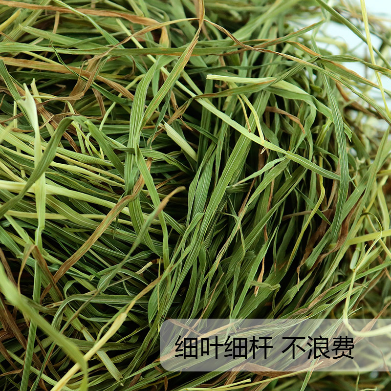 有黃葉全葉南提 提摩西1KG烘幹提摩西草兔子飼料幹草10KG起批