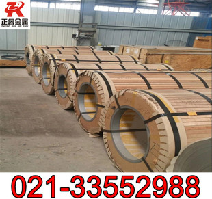Hastelloy D-205���� HastelloyD-205���� ���ϺϽ��r��