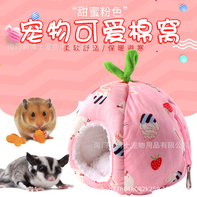 鼠你最有财 金融+科技领军人物大拜年