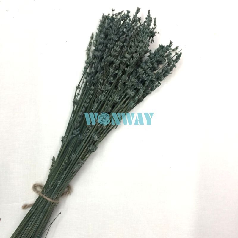 微信图片_20180428101825