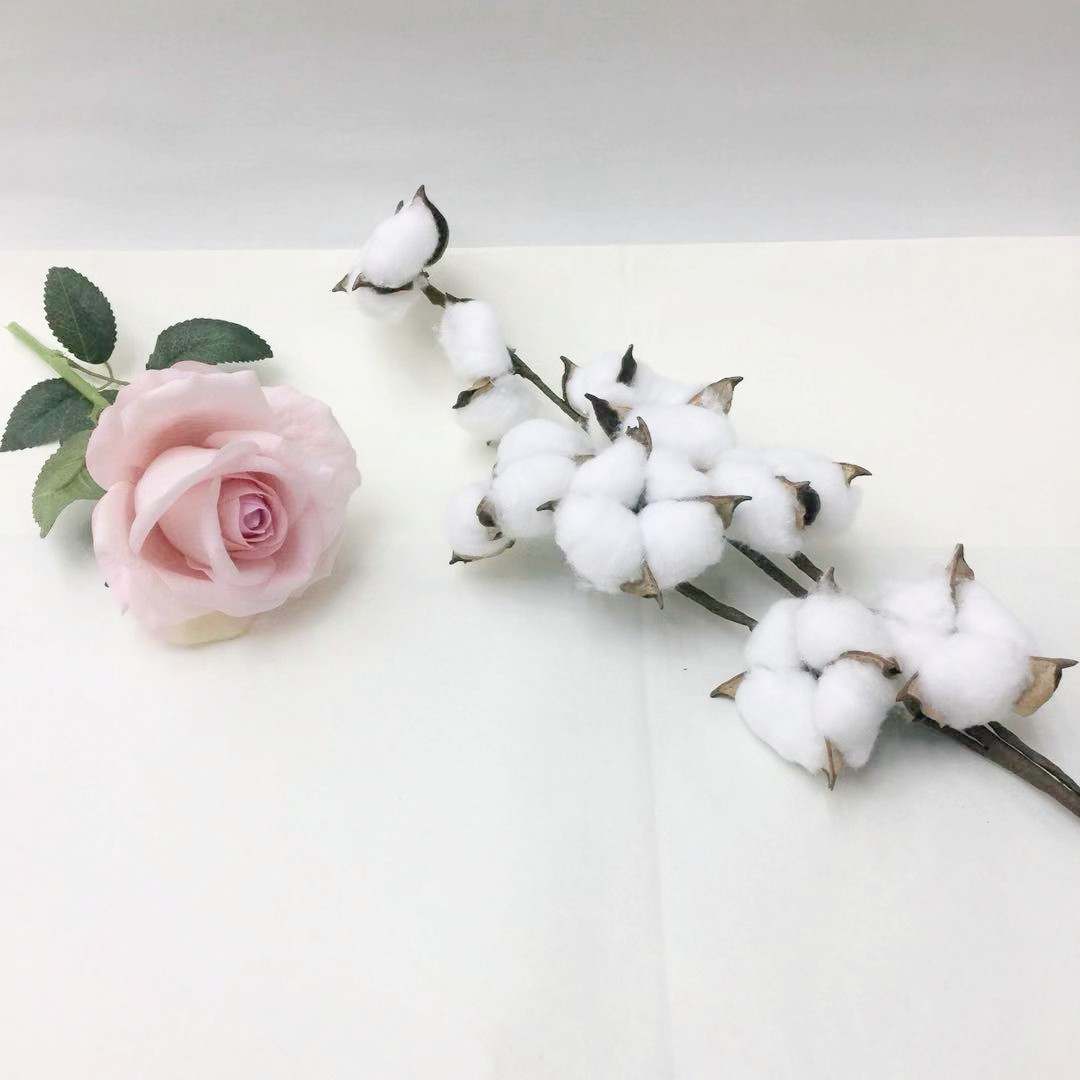 微信图片_20181110154046