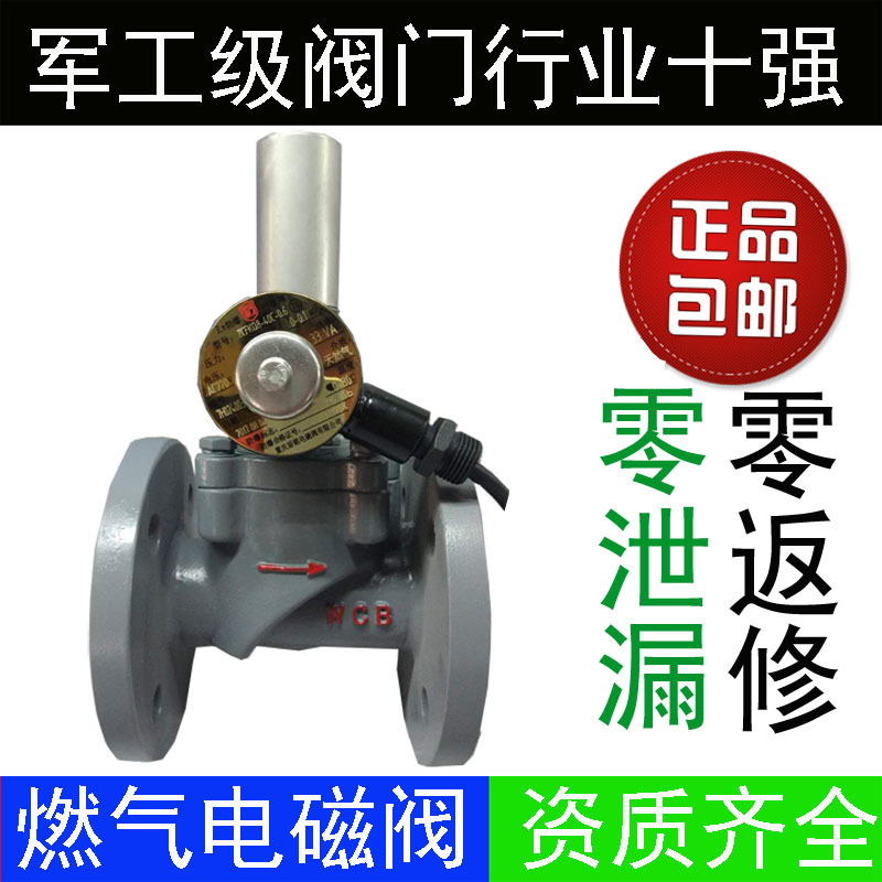 盾铭直销DN253240506580100法兰铸钢沼液化气紧急防爆燃气电磁阀