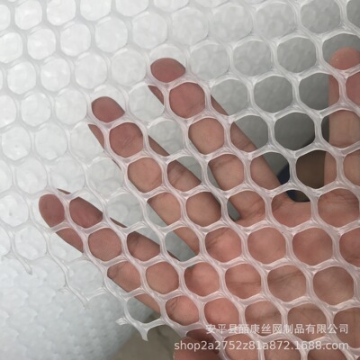 厂家销售全新料PE白色绿色塑料平网塑料养鸭网