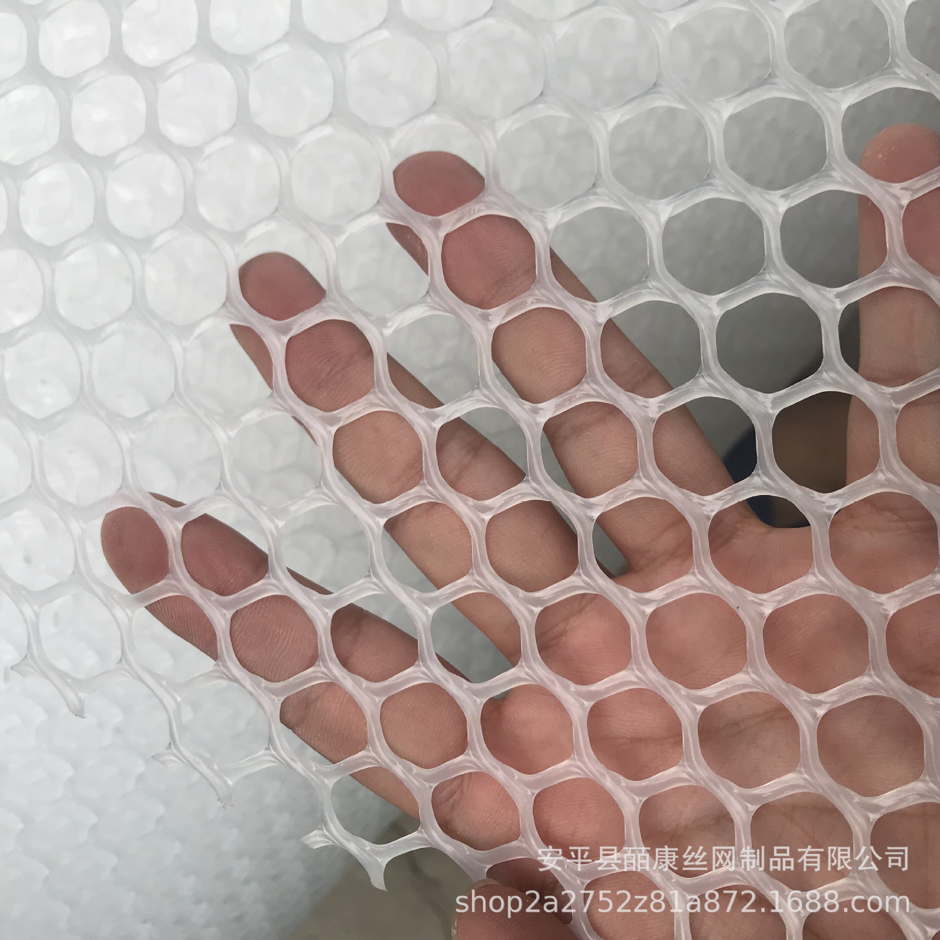 厂家销售全新料PE白色绿色塑料平网塑料养鸭网