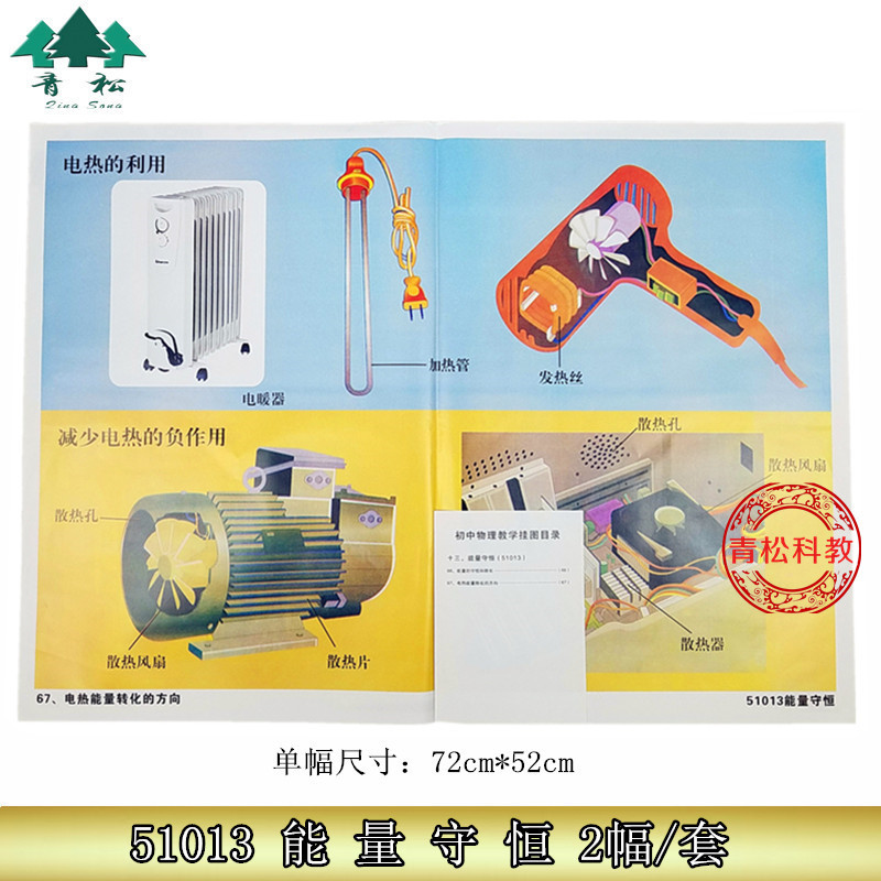 挂图：能量守恒教学挂图 2幅 51013 初中物理 中学教学仪器