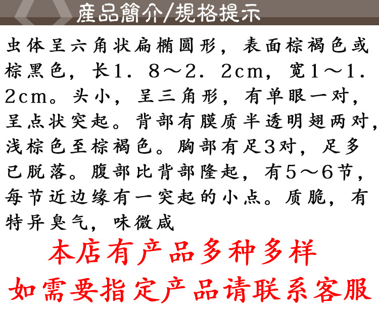 Jiu Xiang Chong (Aspongopus chinensis) — Dried Food-Herb Insect for TCM Decoction & Wellness quality and texture