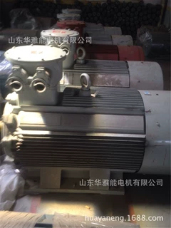 XDM2-160L-2-18.5KW电机BT4防爆等级BM电机配铠装黄铜镀镍格兰头