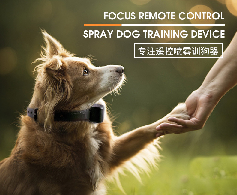 训狗器修改_03