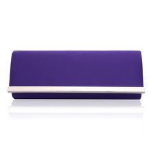 ¿ɫɫŮʿ  ҹŮ clutch bag