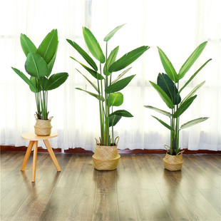 WL ֲ ָ~˽ ͏d[˽羳