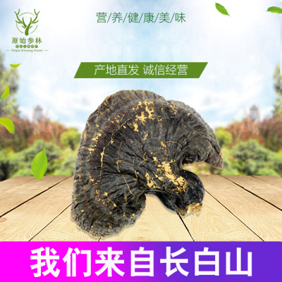 Northeast Ganoderma lucidum Changbai Ganoderma lucidum White Heart Plain boiled pork Ganoderma lucidum Fir Ganoderma lucidum Taste Efficacy