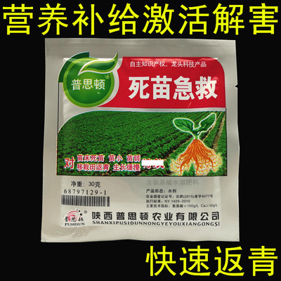 first aid Botany first aid Seedbed Yellow leaves Rotten roots withered Pu stable